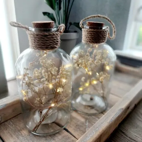 Fles glas met droogbloemen/led lampjes